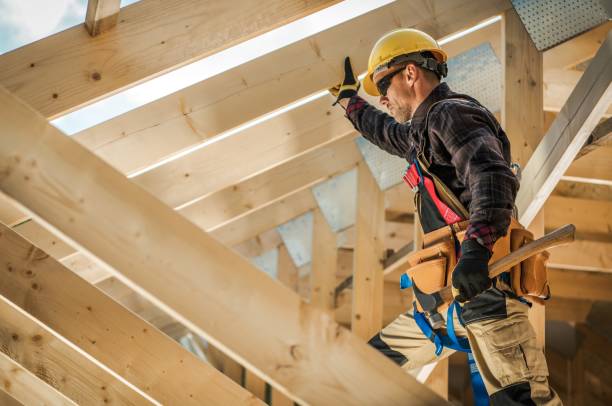 Best Roof Gutter Cleaning  in Harrisonburg, VA
