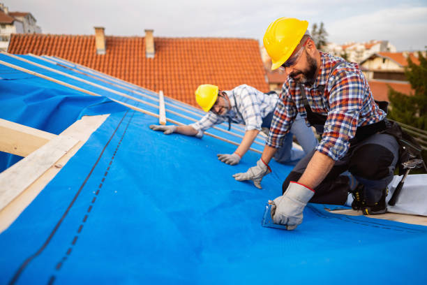 Best Residential Roofing Contractor  in Harrisonburg, VA